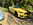 www.mustangponydepot.com