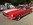 www.mustangponydepot.com
