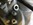 Moteur Ford V8 en vente chez PONYCLASSIC.COM