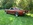 www.mustangponydepot.com