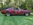 www.mustangponydepot.com