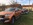 Rapatriement de Ford Mustang par www.mustangponydepot.com