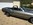 www.mustangmponydepot.com