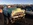 www.mustangponydepot.com et www.ponyclassic.com