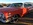 www.mustangponydepot.com et www.ponyclassic.com