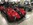 www.mustangponydepot.com et www.ponyclassic.com