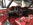 www.mustangponydepot.com et www.ponyclassic.com