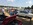 Mustangponydepot.com et Ponyclassic.com au Mans Classic 2018