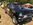 Mustangponydepot.com et Ponyclassic.com au Rêve Américain 2018