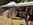 Mustangponydepot.com et Ponyclassic.com au Rêve Américain 2018