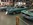 Mustangponydepot.com et Ponyclassic.com au Meeting Ford Mustang - Tournai Belgique