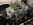 Moteur FORD V8 302 CI 370 HP préparé par PONYCLASSIC.COM