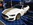 Mustangponydepot et Ponyclassic.com au SEMA SHOW 2018