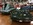 Mustangponydepot.com Ponyclassic.com