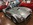 Mustangponydepot.com Ponyclassic.com