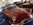 Mustangponydepot et Ponyclassic au salon Autopolis - Tours 2019
