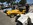 Mustangponydepot et Ponyclassic.com aux Classic Days - Le Mans 2019