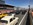 Mustangponydepot et Ponyclassic.com aux Classic Days - Le Mans 2019
