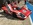 Mustangponydepot et Ponyclassic.com aux Classic Days - Le Mans 2019