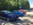 Mustangponydepot et Ponyclassic aux Mustang Nats 2019